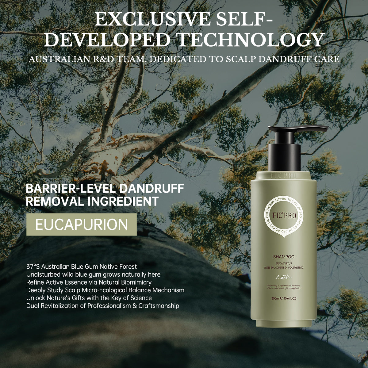 Eucalyptus trees in Australia highlighting the natural origin of EUCAPURION ingredient in FIC'PRO shampoo.