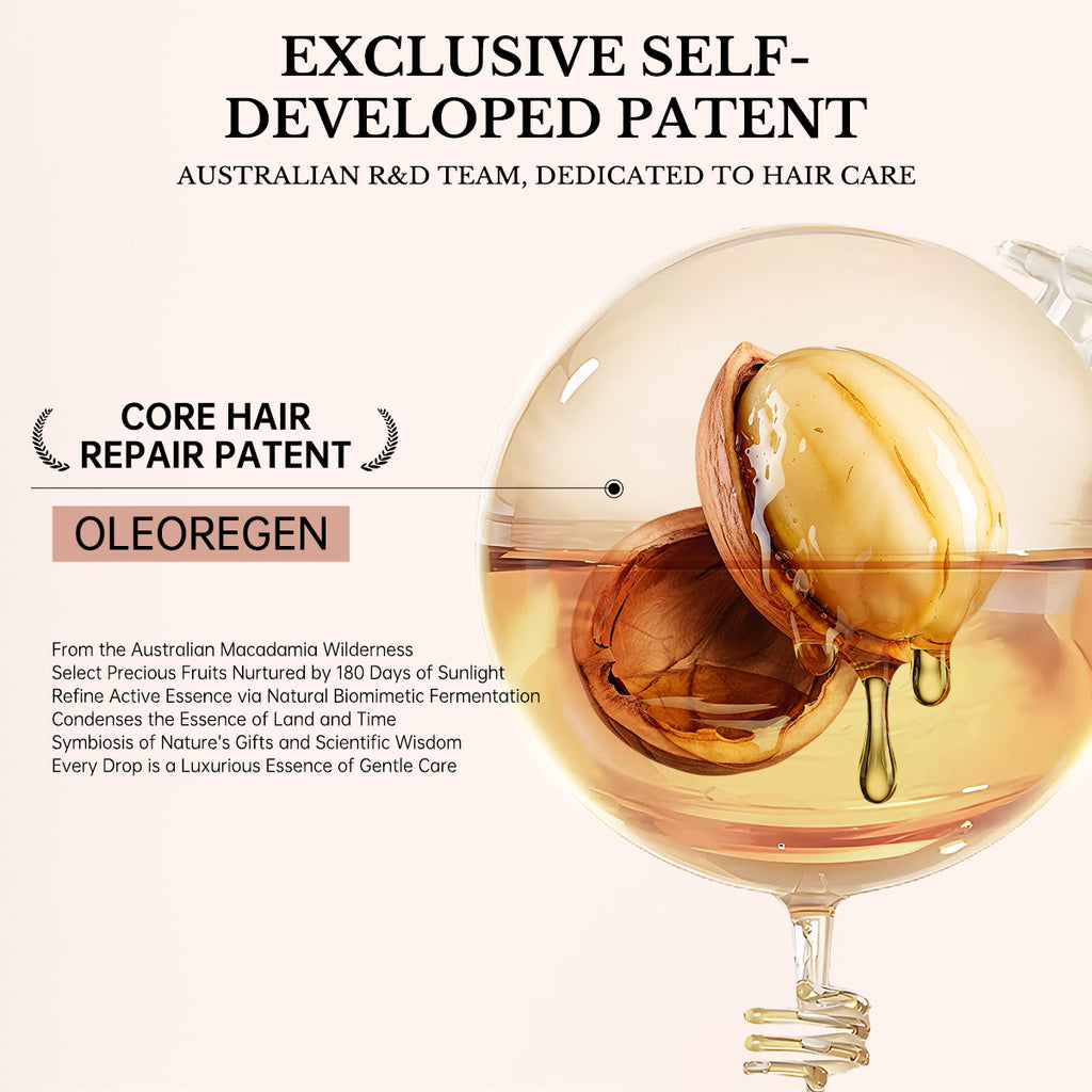 Close-up of Australian macadamia nut with Oleoregen core hair repair patent illustration.