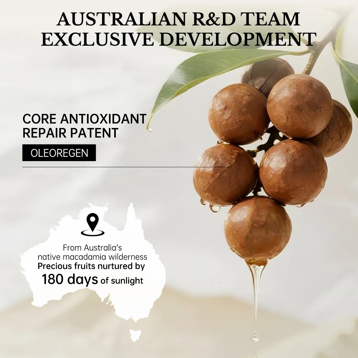 macadamia hair oil natural ingredient antioxidant repair oleoregen australian hair care formula