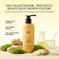 FIC'PRO Ginger Scalp Care Shampoo - Anti-Hair Loss & Strengthening Formula for Thinning Hair